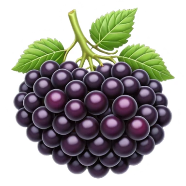 black color blackberries sticker
