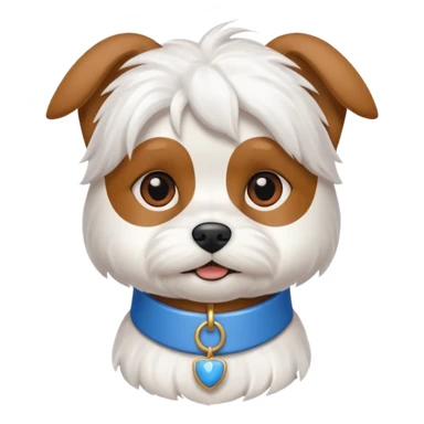 maltese with brown ears and a blue collar sticker