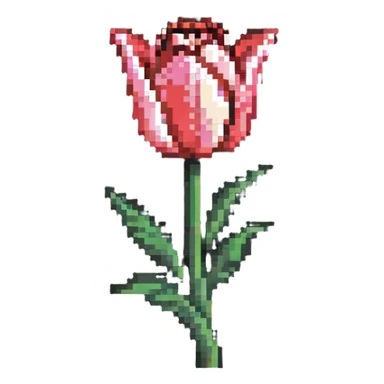 tulip flower sticker