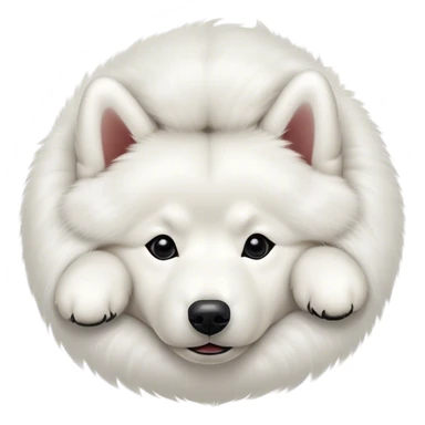 
Samoyed lies upside down sticker