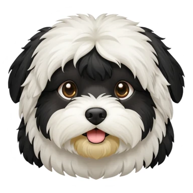 All black fur havanese sticker
