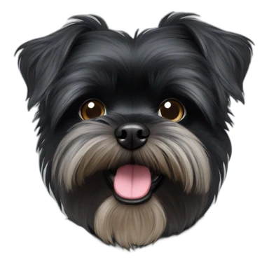 Affenpinscher sticker