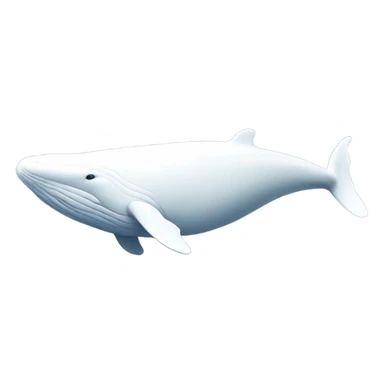 white whale , underside sticker