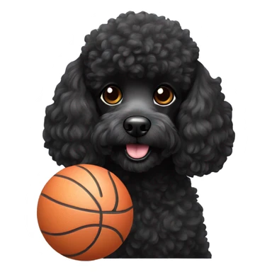 Black poodle dog with ball  sticker