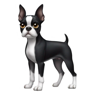 Black and white Boston terrier sticker