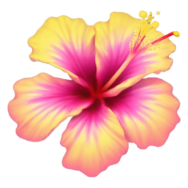 yellow and pink hibiscus flower sticker