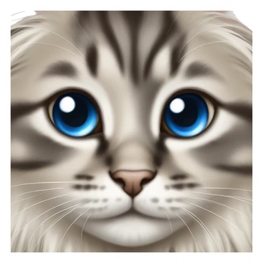 A domestic long hair kitten with super round and big blue eyes sticker