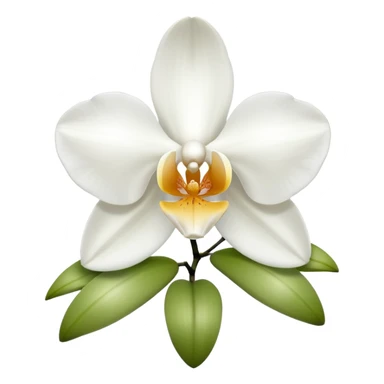 white orchids sticker