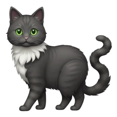 full body gorgeous solid dark grey cat with green eyes, white paws and white whiskers walking sticker