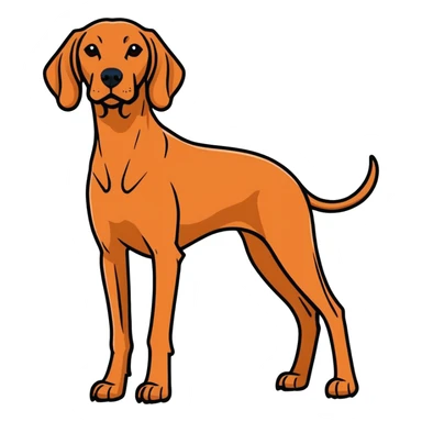 Perro braco ungaro  sticker