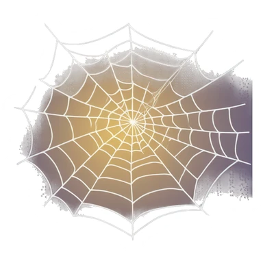spider web sticker