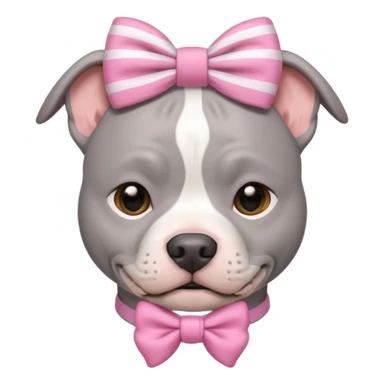 Fully Gray Pitbull with a white stripe on his head and a pink bow sticker