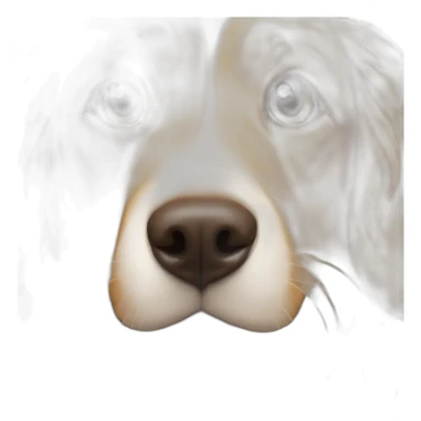 a golden retriever with light brown eyes, she was white with red highlights with long hair with a small brown nose sticker