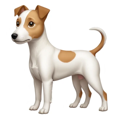 a full body slightly chubby white parson russell terrier looking dog the size of a kelpie with light brown long ears and a light brown patch on one eye and a large snout. the rest of the dog is completely white. forward facing sticker