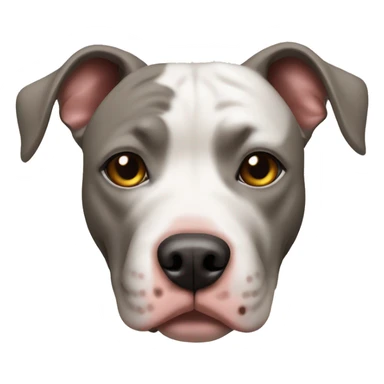 dog pit bull  sticker