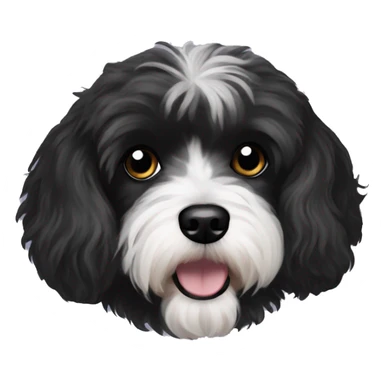 Black coloured dog bichon havanese black eyes sticker