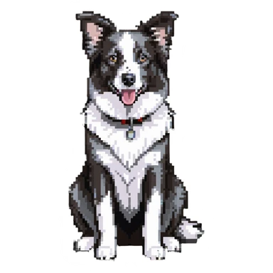 Merle border collie dog sitting sticker