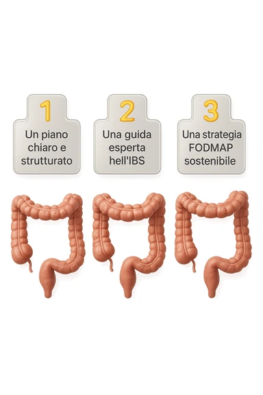 emoji stile iphone di 3 targhette numerate con intestino realistico davanti ad ogni targhetta, le targhette sono:
"1 – Un piano chiaro e strutturato
2 – Una guida esperta nell’IBS
3 – Una strategia FODMAP sostenibile"
, iperrealistico 4k sticker