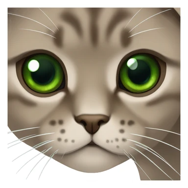 Brown scottish fold with green eyes  sticker