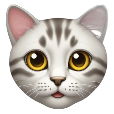 intense_cat_staring_at_you sticker