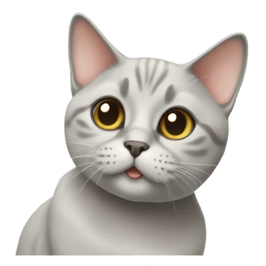 British short hair cat sticker