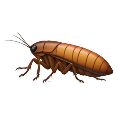 roach sticker