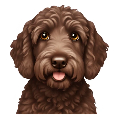 chocolate labradoodle sticker
