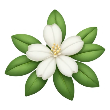 White jasmine flower emoji remove all leafs sticker