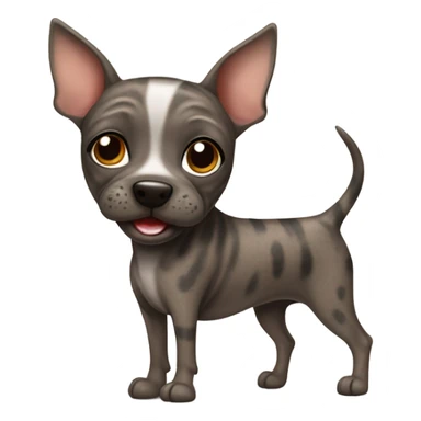 Brindle American hairless terrier smiling sticker
