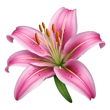 pink lily sticker