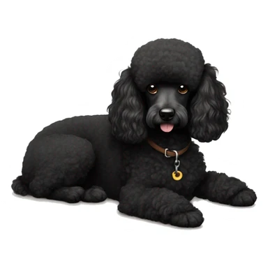 3 legs One Small unshaved Black Poodle with brown harness is  sleeping sticker