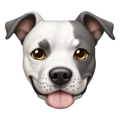 Staffie chien une oreille blanche et l’autre gris  sticker