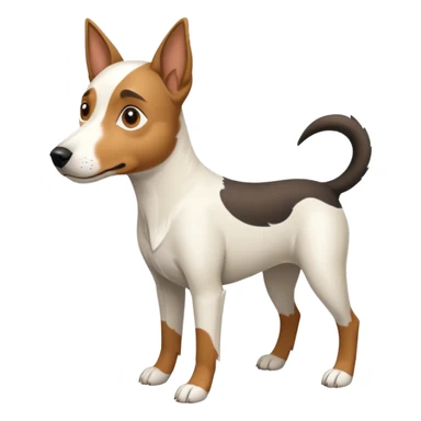 a full body large white parson russell looking dog the size of a kelpie with light brown flapped down ears and a light brown patch on one eye and a large snout sticker
