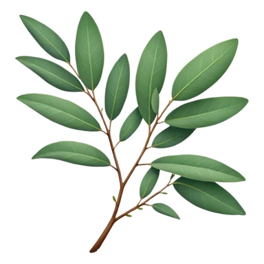 eucalyptus branch sticker