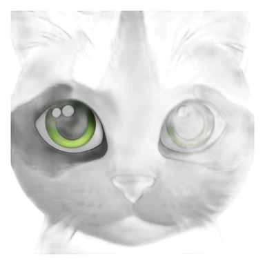 black and white cat green eyes sticker
