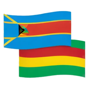 Rwanda and Congo flag sticker