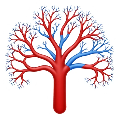 Blood Circulation sticker