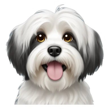 Black and white Havanese dog sticker