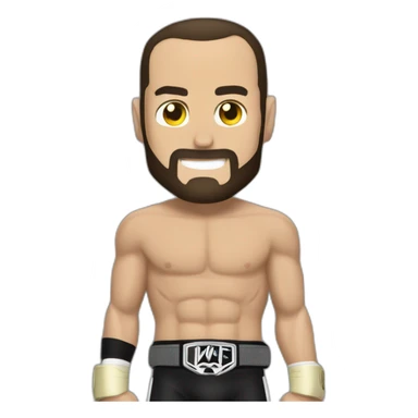 Cm punk have a WWE belt sticker