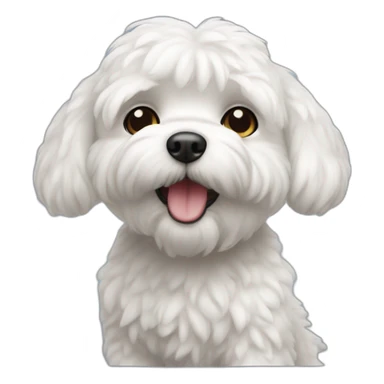 Bichón maltés sticker