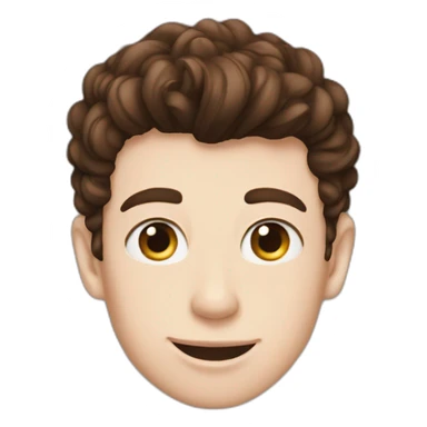 Shawn Mendes sticker