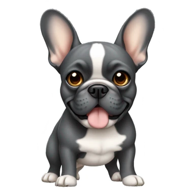 Dark grey French bulldog with tan  sticker