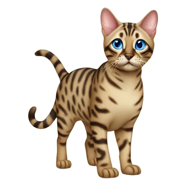 Seal Bengal cat with Blue eyes standing sticker