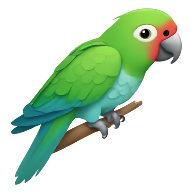 Quaker parrot sticker