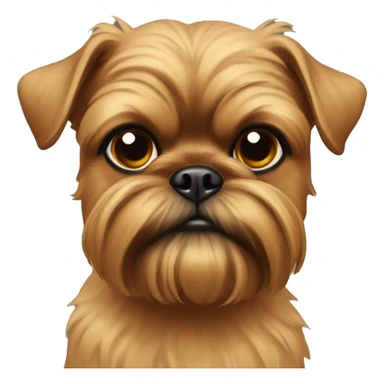 Tan Brussels griffon looking at viewer sticker