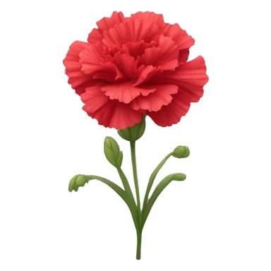 red head Carnation flower sticker