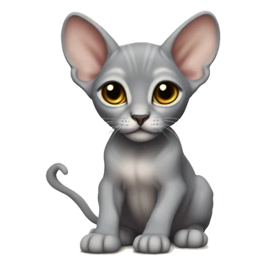 Grey sphinx kitten sticker