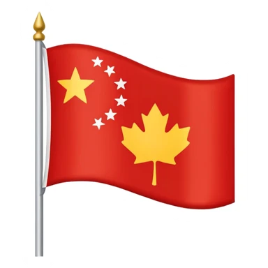 Chinar flag it has 80,000 stars sticker