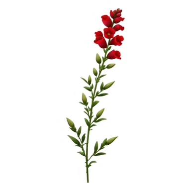 single red Snapdragon, straight stem sticker