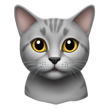 British short hair cat grey sticker